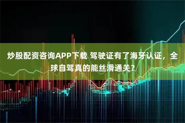 炒股配资咨询APP下载 驾驶证有了海牙认证，全球自驾真的能丝滑通关？