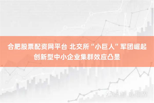 合肥股票配资网平台 北交所“小巨人”军团崛起创新型中小企业集群效应凸显