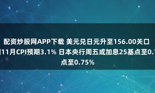 配资炒股网APP下载 美元兑日元升至156.00关口 美国11月CPI预期3.1% 日本央行周五或加息25基点至0.75%